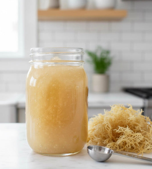 How to Make Sea Moss Gel at Home — Easy 3-Step Recipe