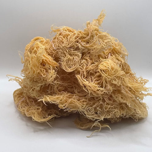 Raw Sea Moss (Gold)